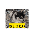 ミルクチェリー（個別スタンプ：4）