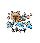 愛犬ハナちゃん2（個別スタンプ：4）