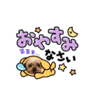 愛犬ハナちゃん2（個別スタンプ：5）