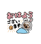 愛犬ハナちゃん2（個別スタンプ：6）
