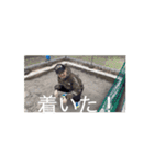 まいまい町街3（個別スタンプ：14）