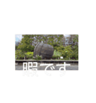 まいまい町街3（個別スタンプ：16）