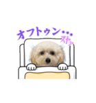 マルプーのおもちと猫のにゃこた（個別スタンプ：7）