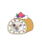 動くポメラニアン日常のあいさつ動画編（個別スタンプ：1）