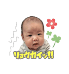 HIRYU3.（個別スタンプ：3）