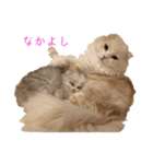 いやしのニャンコⅠ（個別スタンプ：7）