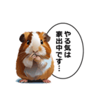 励まし・敬語【リアルなモルモット】（個別スタンプ：22）