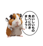 励まし・敬語【リアルなモルモット】（個別スタンプ：27）