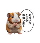 励まし・敬語【リアルなモルモット】（個別スタンプ：31）