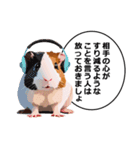 励まし・敬語【リアルなモルモット】（個別スタンプ：34）