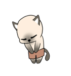 輝くシャム猫（個別スタンプ：5）