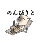 輝くシャム猫（個別スタンプ：13）