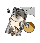輝くシャム猫（個別スタンプ：21）