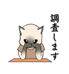 輝くシャム猫（個別スタンプ：24）