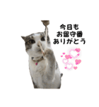 興味多彩ねこちゃん（個別スタンプ：20）