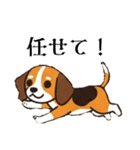 色々使えるあいさつ❗❗【ビーグル犬】（個別スタンプ：6）