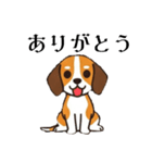 色々使えるあいさつ❗❗【ビーグル犬】（個別スタンプ：9）