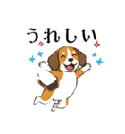 色々使えるあいさつ❗❗【ビーグル犬】（個別スタンプ：10）