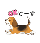 色々使えるあいさつ❗❗【ビーグル犬】（個別スタンプ：15）