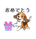 色々使えるあいさつ❗❗【ビーグル犬】（個別スタンプ：17）