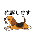色々使えるあいさつ❗❗【ビーグル犬】（個別スタンプ：22）