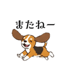 色々使えるあいさつ❗❗【ビーグル犬】（個別スタンプ：24）