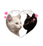 可愛い子猫の日常-5（個別スタンプ：3）