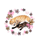 可愛い子猫の日常-5（個別スタンプ：5）
