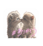 可愛い子猫の日常-5（個別スタンプ：9）