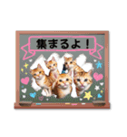 可愛い子猫の日常-5（個別スタンプ：26）