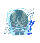 可愛い子猫の日常-5（個別スタンプ：27）