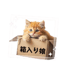 可愛い子猫の日常-5（個別スタンプ：32）
