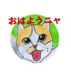 おおさかねこちゃん21ニャ（個別スタンプ：9）