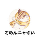 おおさかねこちゃん21ニャ（個別スタンプ：16）