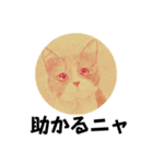 おおさかねこちゃん21ニャ（個別スタンプ：17）