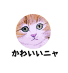 おおさかねこちゃん21ニャ（個別スタンプ：26）