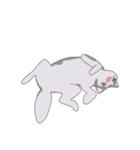 ハスキー 英（個別スタンプ：10）