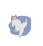 ハスキー 英（個別スタンプ：11）