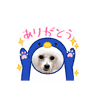 プードル集合③（個別スタンプ：5）