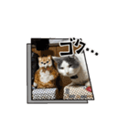 うちのネコがひとこと（個別スタンプ：2）