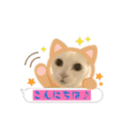 しろねこミータと妹たち2（個別スタンプ：2）