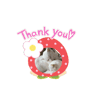 しろねこミータと妹たち2（個別スタンプ：5）