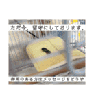 ひーたんすたんぷん2（個別スタンプ：15）