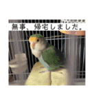 ひーたんすたんぷん2（個別スタンプ：16）