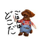 トイプーププ（個別スタンプ：4）