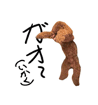 トイプーププ（個別スタンプ：18）