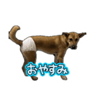 ジョンとジーナ2（個別スタンプ：8）