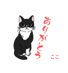 和楽（わらく）（個別スタンプ：6）
