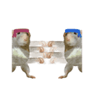 動くクールラット！（個別スタンプ：22）