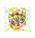 開運スピリチュアル 使うほどに開運♡（個別スタンプ：4）